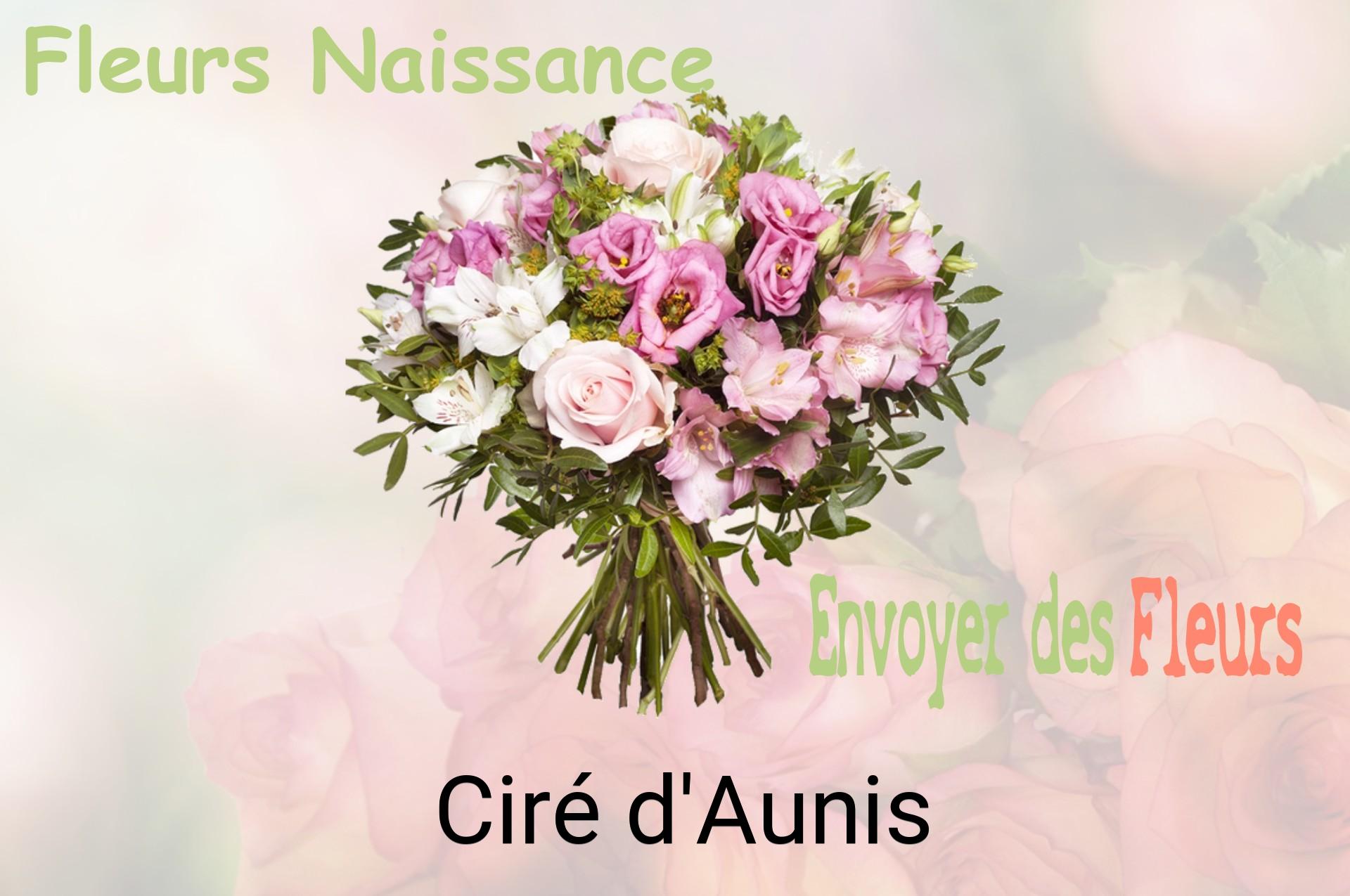 Bouquet de fleurs de naissance livré à Ciré-d'Aunis