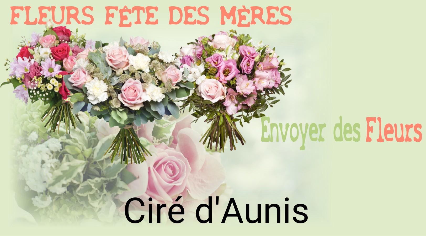 Bouquet de Fête des Mères livré à Ciré-d'Aunis